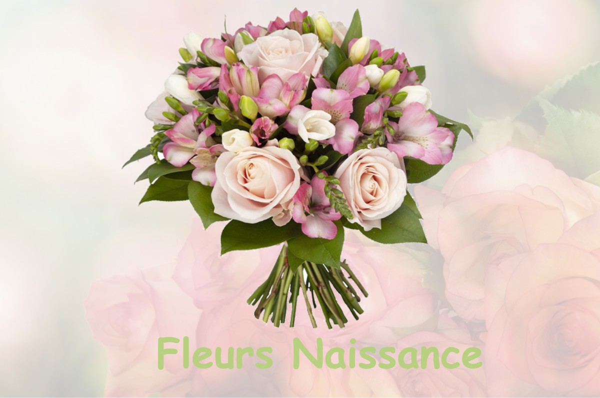 fleurs naissance DAUBEUF-LA-CAMPAGNE