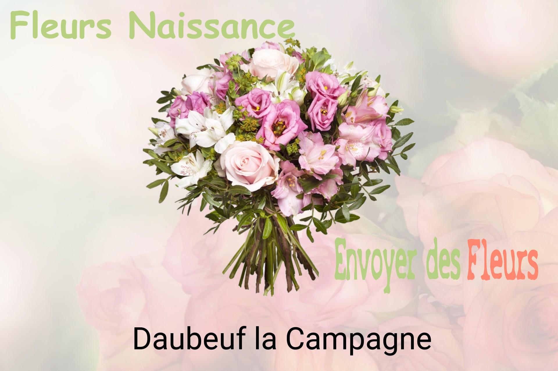 Bouquet de fleurs de naissance livré à Daubeuf-la-Campagne